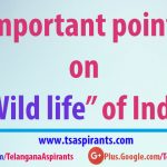 Wild life in India wild life of india