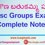 telangana bathukamma festival