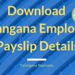 TS Employee Payslip Details