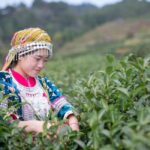 Festivals Of Mizoram Festivals Of Mizoram