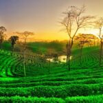 Folk Dance Of Assam Folk Dance Of Assam