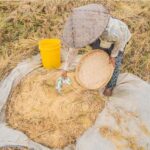 Main Crops of Telangana Main Crops Of Telangana