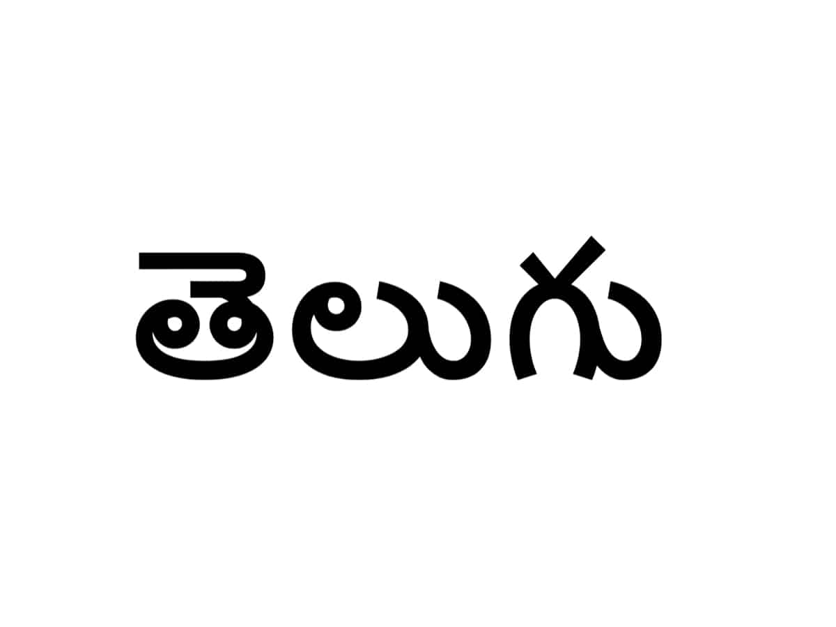 essay on language of telangana