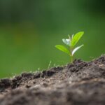 Types Of Soils In Telangana Types Of Soils In Telangana