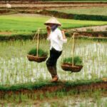 Government Policies Of Chhattisgarh Government Policies Of Chhattisgarh