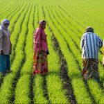 Government Policies Of Gujarat Government Policies Of Gujarat