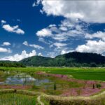 Types Of Soils In Arunachal Pradesh Types Of Soils In Arunachal Pradesh