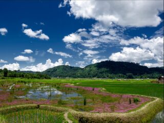 Types Of Soils In Arunachal Pradesh
