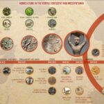 Types Of Soils In Chhattisgarh Types Of Soils In Chhattisgarh