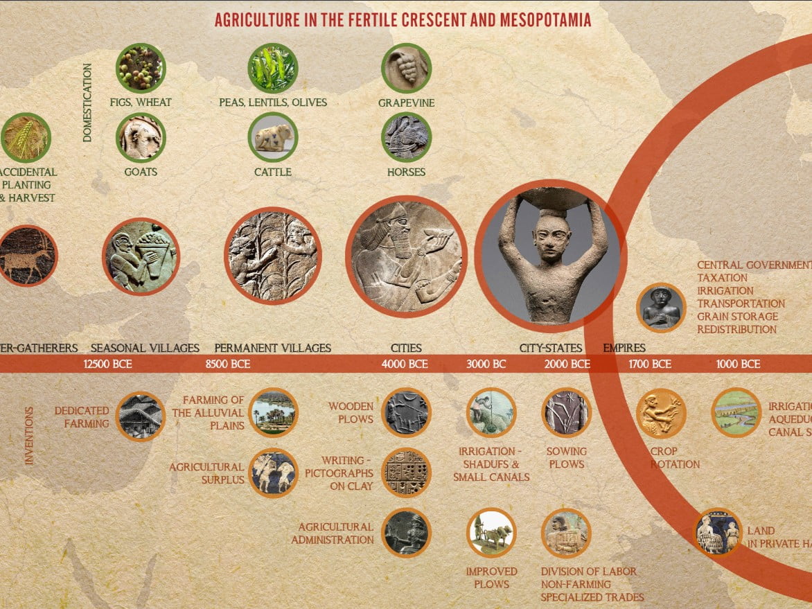 Types Of Soils In Chhattisgarh