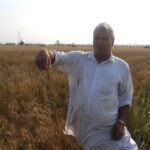 Types Of Soils In Haryana Types Of Soils In Haryana