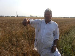 Types Of Soils In Haryana