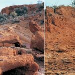 Types Of Soils In Jharkhand Types Of Soils In Jharkhand