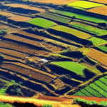 Types of Soils in Mizoram Types of Soils in Mizoram