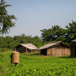 Types of Soils in Nagaland Types of Soils in Nagaland