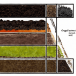 Types of Soils in Odisha Types of Soils in Odisha