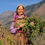 Types Of Soils In Himachal Pradesh Types Of Soils In Himachal Pradesh