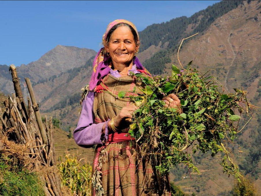 Types Of Soils In Himachal Pradesh