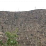 Mines in Arunachal Pradesh Mines In Arunachal Pradesh