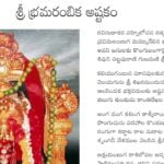 Sri Bhramarambika Ashtakam Telugu – శ్రీ భ్రమరాంబిక అష్టకం Sri Bhramarambika Ashtakam Telugu